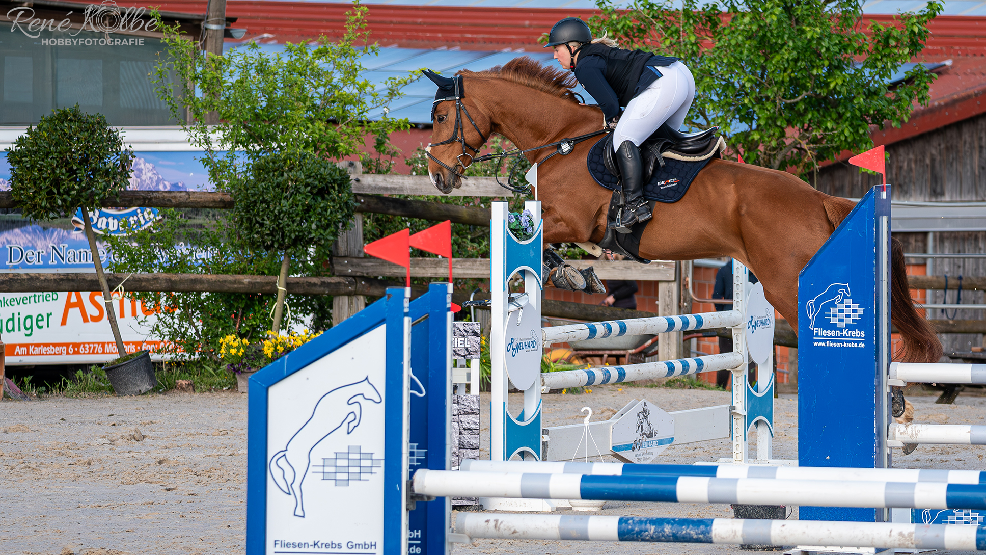 Springturnier Hof Hauenstein - Diandra mit Baloubet's Lizzy Olien FW